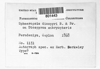 Image Associated With the Occurence
